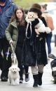 Filename=43.jpg
Filesize=1059KiB
Dimensions=1288x2048
Date added=Dec 07, 2021 43.jpg